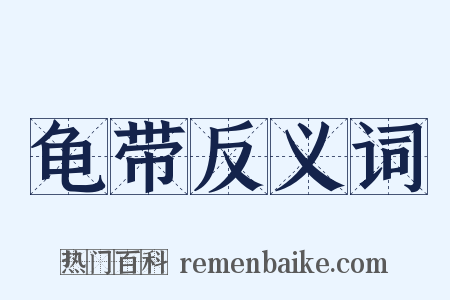 龟带反义词是什么意思的图片